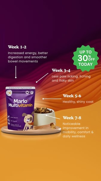 A vertical social media ad displaying the week-by-week health improvements for dogs using a specific multivitamin supplement.